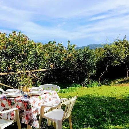 Il Mirto E L'oleandro Feriehus Teulada