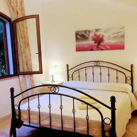 Il Mirto E L'oleandro